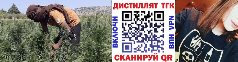 Купить закладки Княгинино ТГК вейп