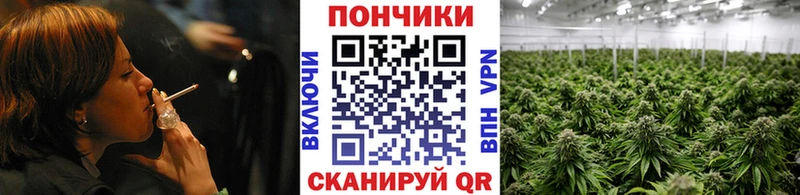 Канабис VHQ  Купить где  Княгинино 